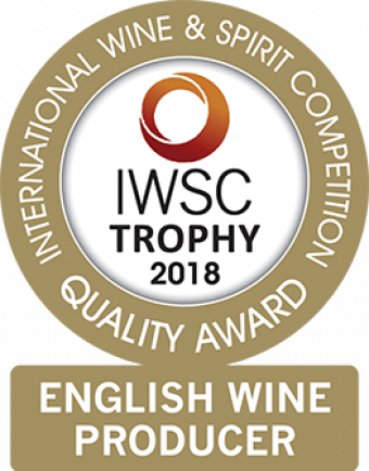English Wine Producer Of The Year Trophy 2018