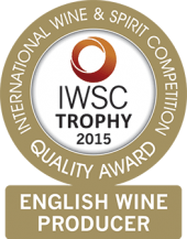 English Wine Producer Of The Year Trophy 2015