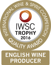 English Wine Producer Of The Year 2016