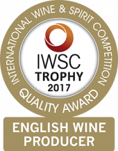 English Wine Producer Of The Year Trophy 2017
