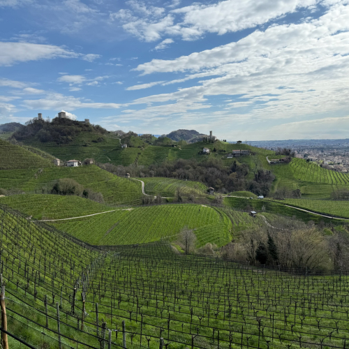 CONEGLIANO VALDOBBIADENE 2026