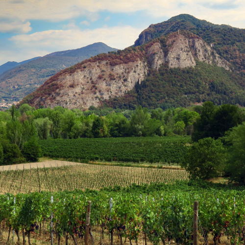 FRANCIACORTA 2026