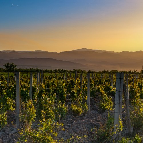 ARMENIAN WINE IN GEORGIA 2026