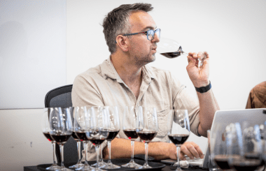 Bronze Medal Red Wines: The Drinkability Revolution