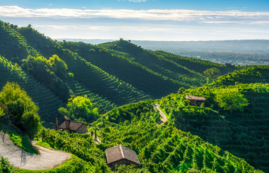 The IWSC will be returning to Conegliano Valdobbiadene in May 2026