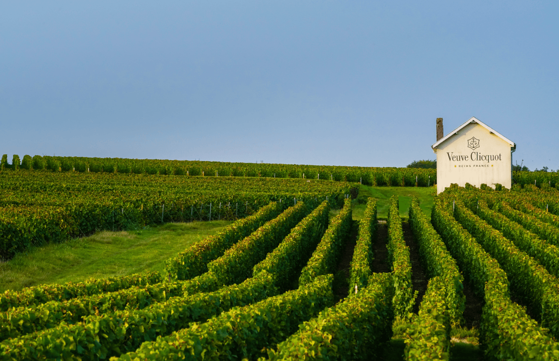 VISIT CHAMPAGNE HOUSES VEUVE CLICQUOT – Wines of Nesli