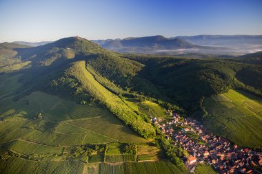 The IWSC’s top 10 Alsace picks for ProWein 2023, in partnership with CIVA