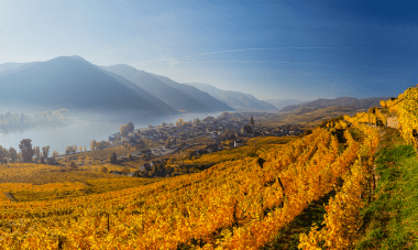 IWSC heads to Austria for its second Austrian Wine Judging