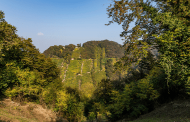 IWSC returns to Conegliano Valdobbiadene for the 2025 Global Judging event