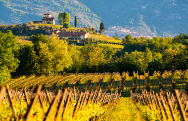 IWSC returns to Franciacorta for second edition of Global Judging