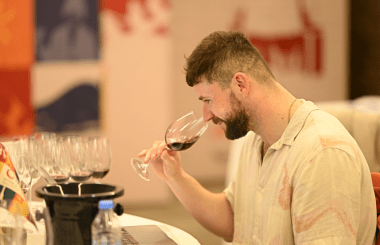 IWSC Wine and Spirits Judging in Georgia: judges' deliberations