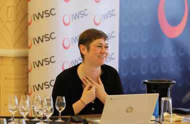 IWSC 2024 Spirits Judging: judges’ deliberations on Vodka and Fruit Spirits