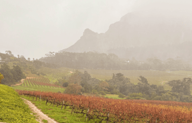 Judges' deliberations:  Standout sparkling and strong varietal showings from South Africa