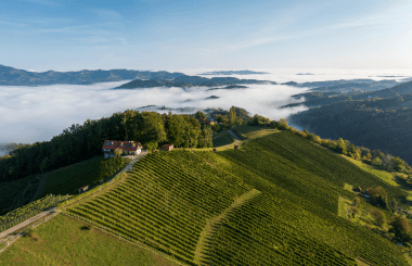 The 2025 results are out: IWSC Global Judging in Austria