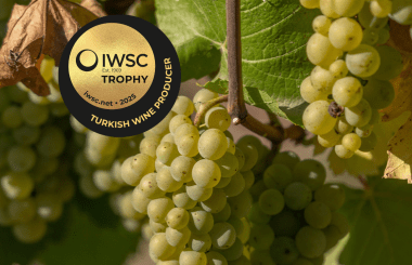 Turkish tradition triumphs: Akberg Şrince Şarapçilik wins IWSC Turkish Wine Producer Trophy